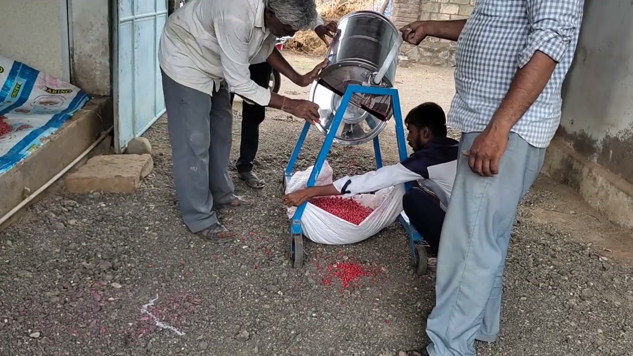Seed treatment for groundnut seed with seed dressing drum i e  low cost technology alternative