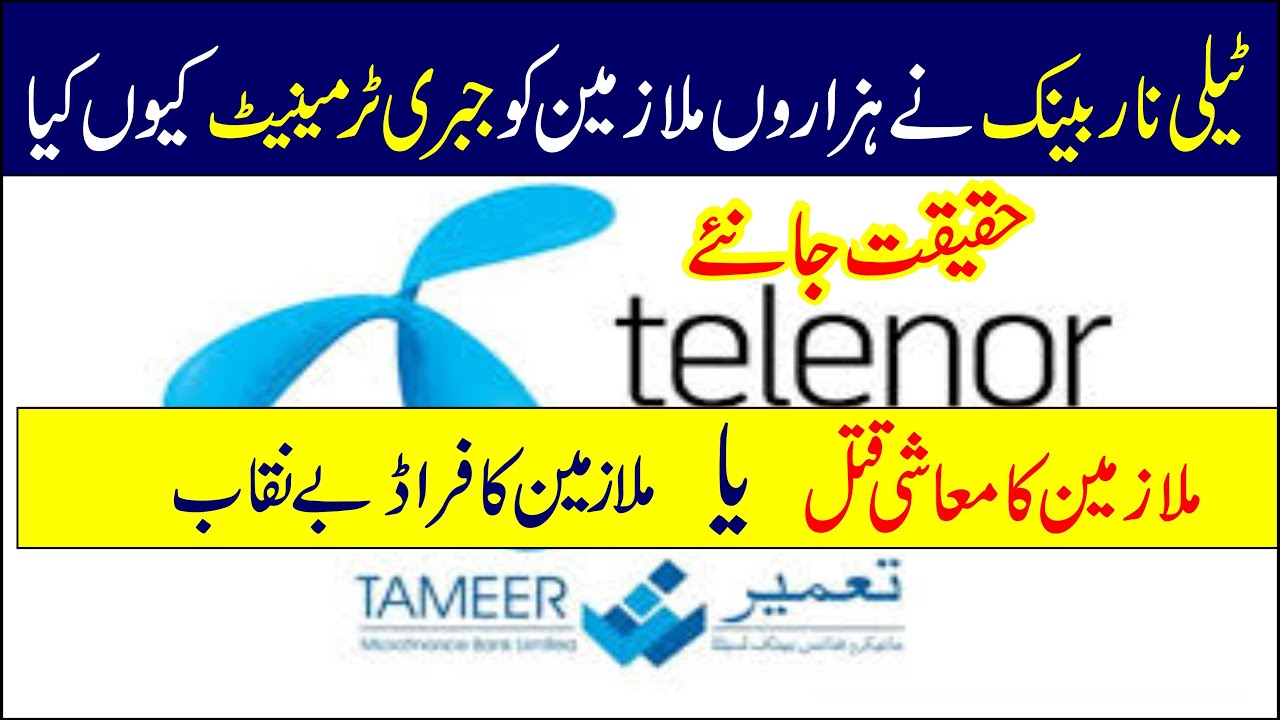 Why Telenor Bank Terminate There Employee|Telenor bank ne Mulazmeen ko  kion nilkala |Okara News