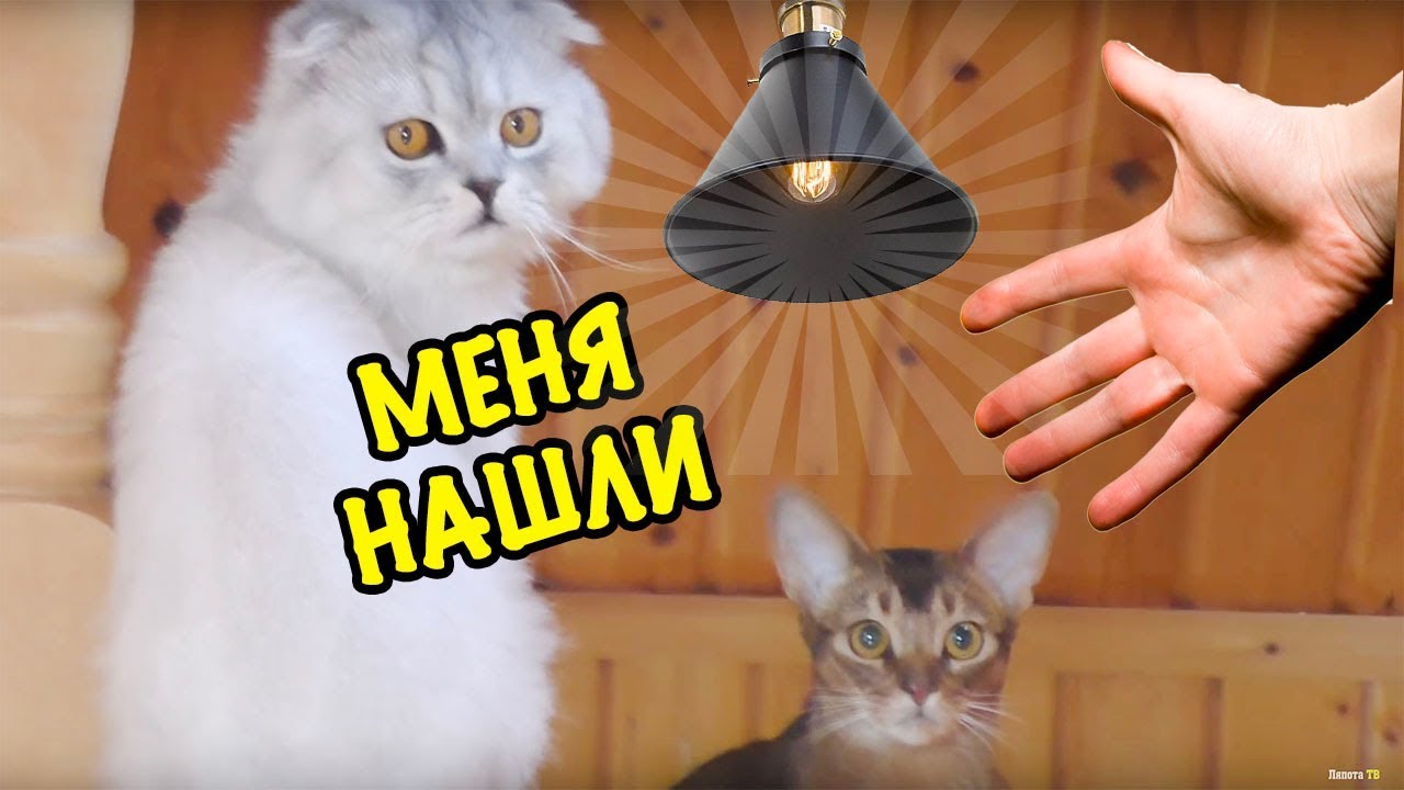 НОЧНЫЕ ПРЯТКИ В НАШЕМ ДОМЕ! HIDE AND SEEK IN MY HOUSE 2