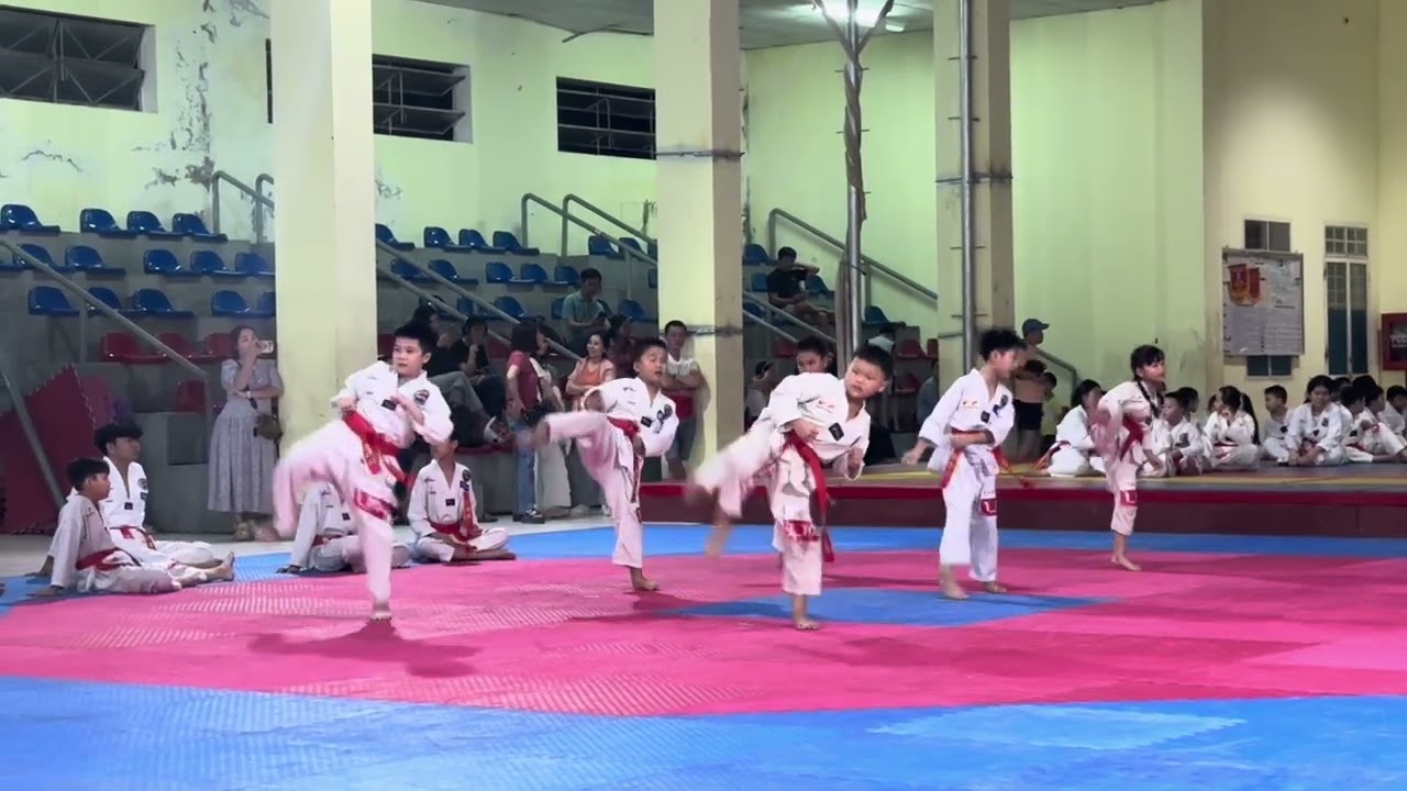 Nâng Hạng Lên Đai Đỏ 3 Gạch