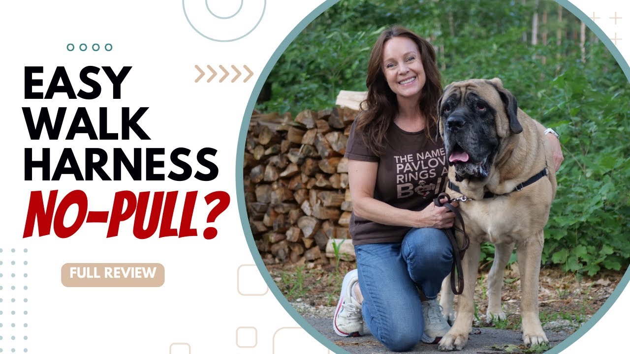 PetSafe Easy Walk Harness Review | Is it REALLY a NO-PULL Dog Harness? [FULL REVIEW]