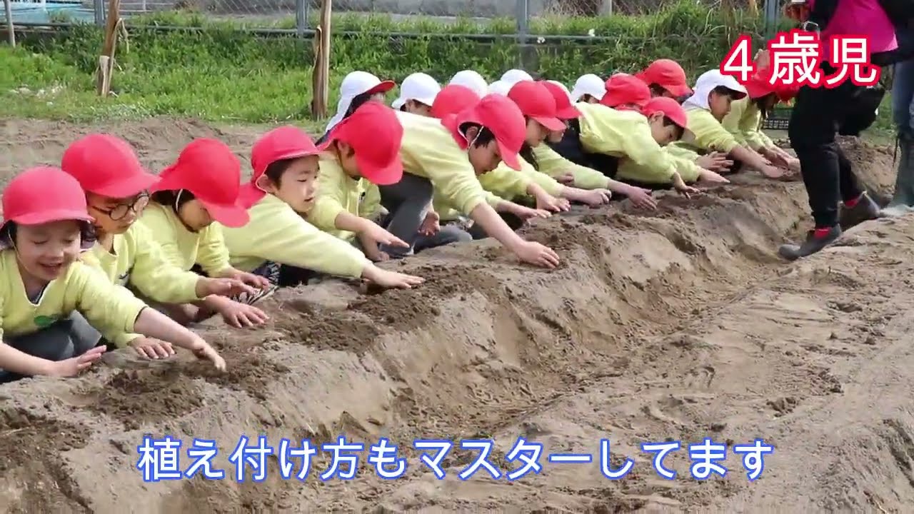 ジャガイモの植え付け2026 03 10