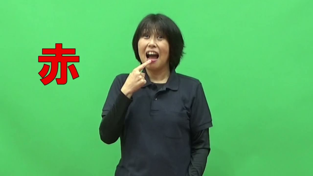 知っていますか？盲ろう者のこと（４）触手話について