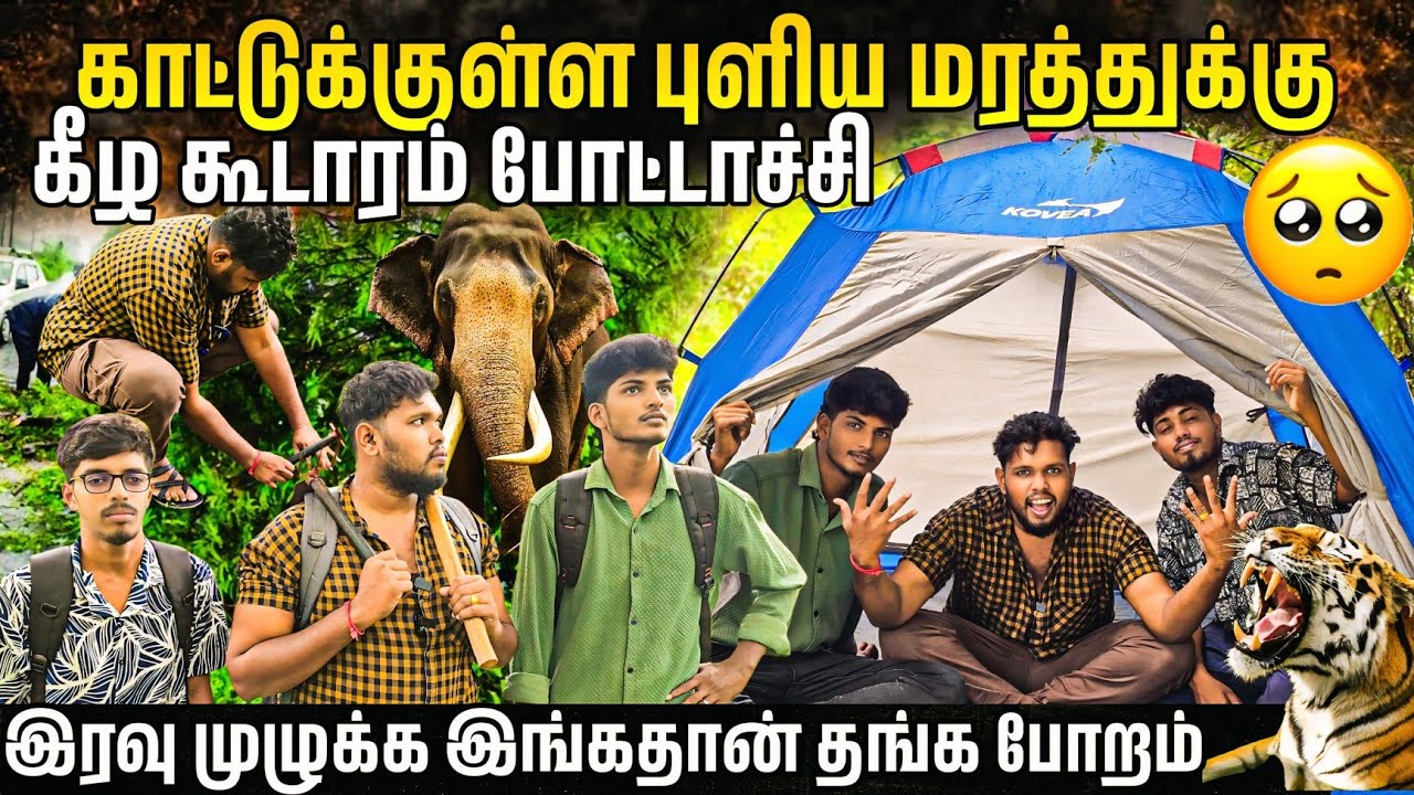 காட்டுக்குள்ள புளிய மரத்துக்கு கீழ கூடாரம் போட்டாச்சி 😱 | புது வாழ்க்கை இதுதான் 😱  Voice of Anushan