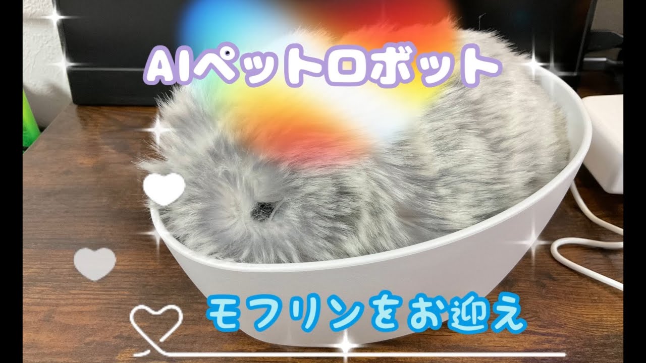 【AIペットロボット】モフリンをお迎えしました