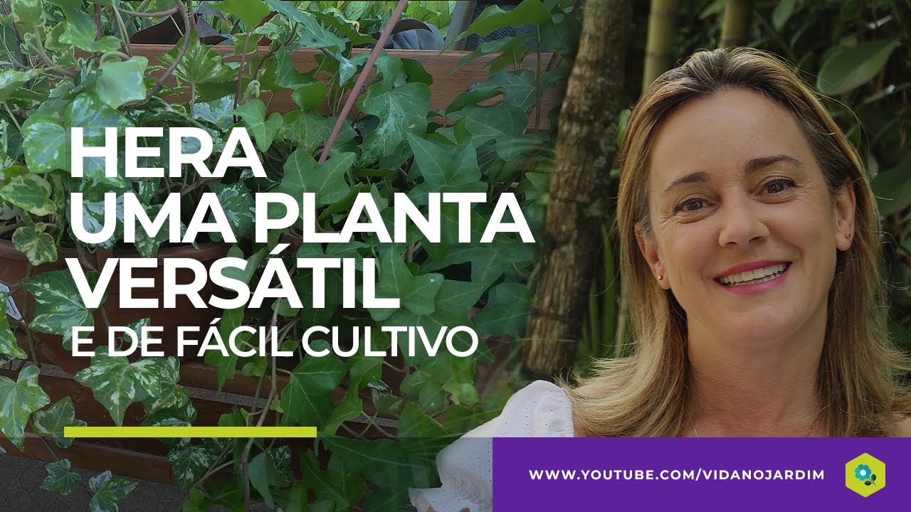 HERA - Uma PLANTA vers&aacute;til e de F&Aacute;CIL CULTIVO