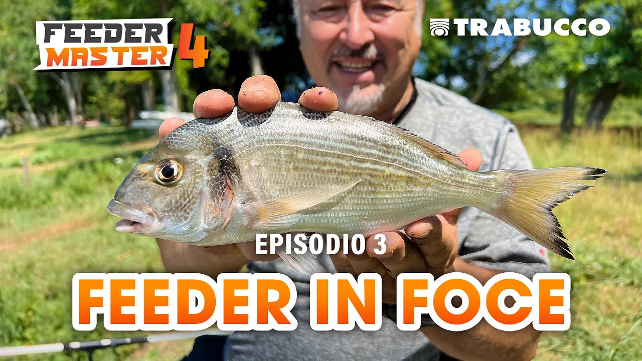FEEDER in FOCE: COME strutturare la pesca a FEEDER SW » FEEDER Master S4E3 @Trabucco Fishing​