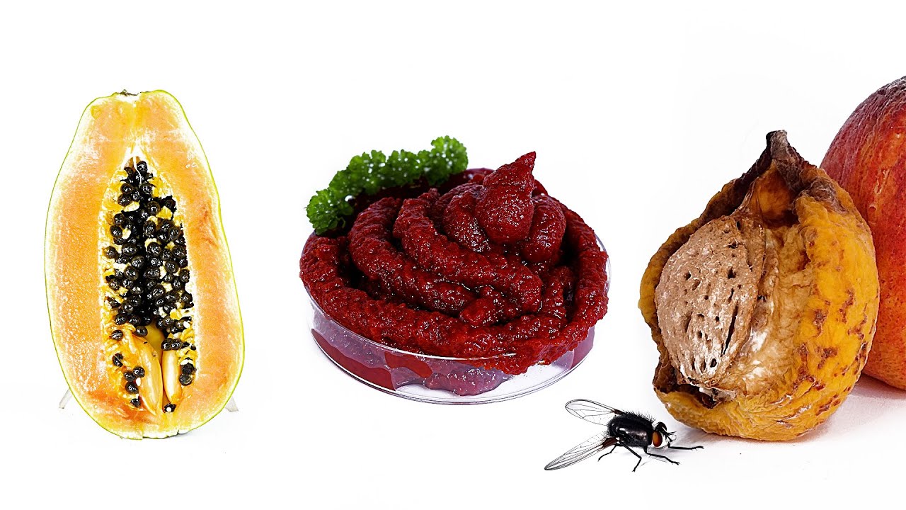 😲 Ultimate Rotting Food Timelapse Compilation