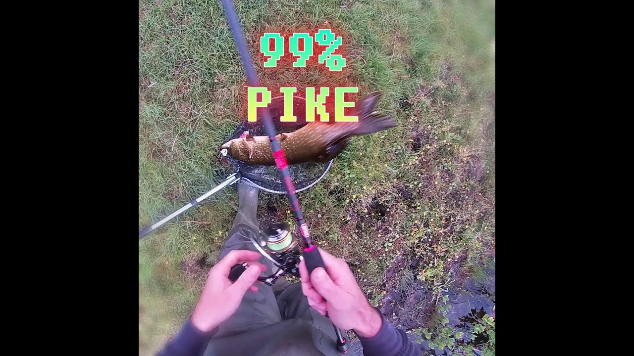INSANE PIKE FIGHTS on my Ultra Light Berkley urban red series 5-15g