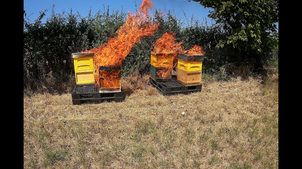Extreme Summer Hive Inspection at a NEW Apiary! 🐝Stay Safe in the Heat!