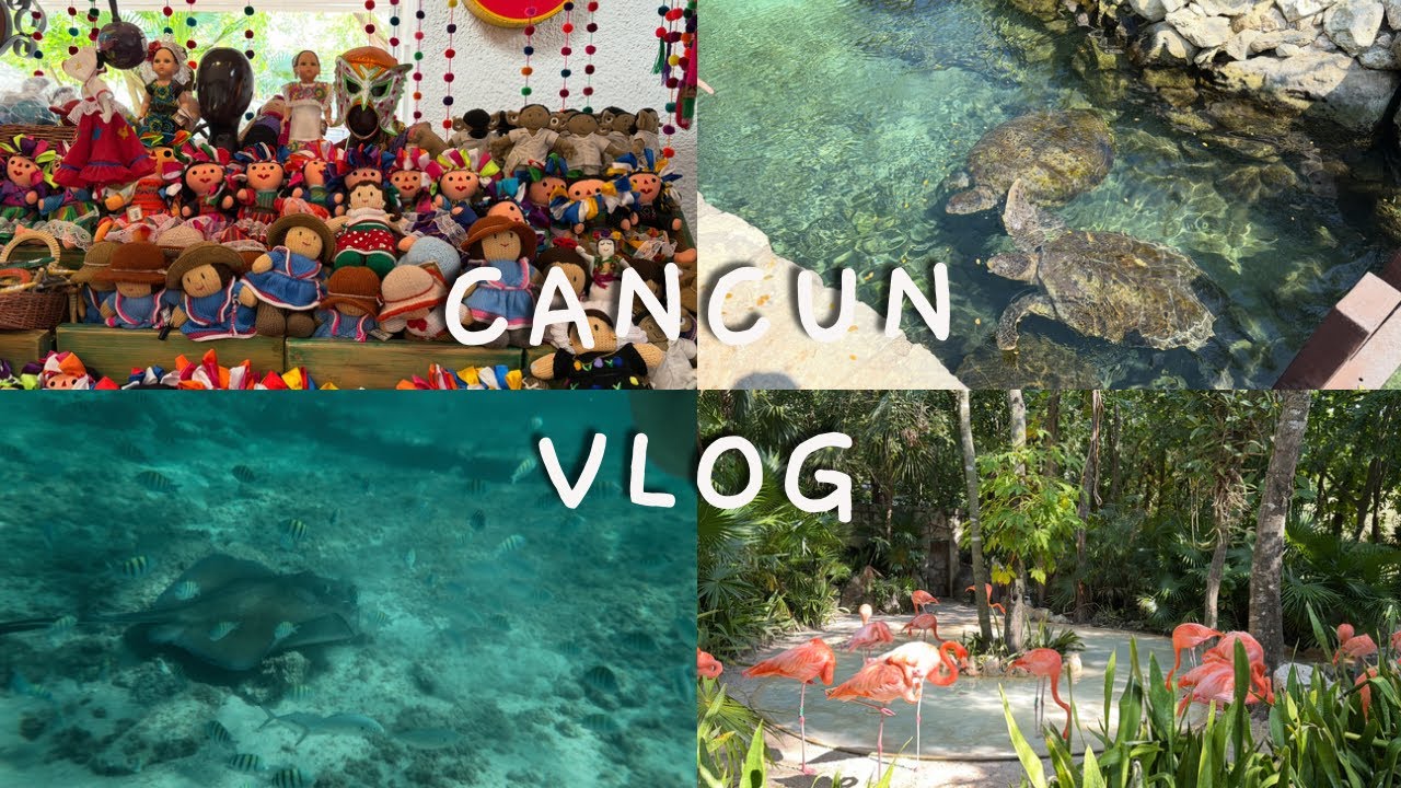 Vlog 칸쿤 2일차 | 바다에서 거북이와 가오리를 만난 날🐢엑스카렛 & 동굴 레스토랑 Cancun Day 2 | Sea Turtles, Stingrays & Cave Dinner