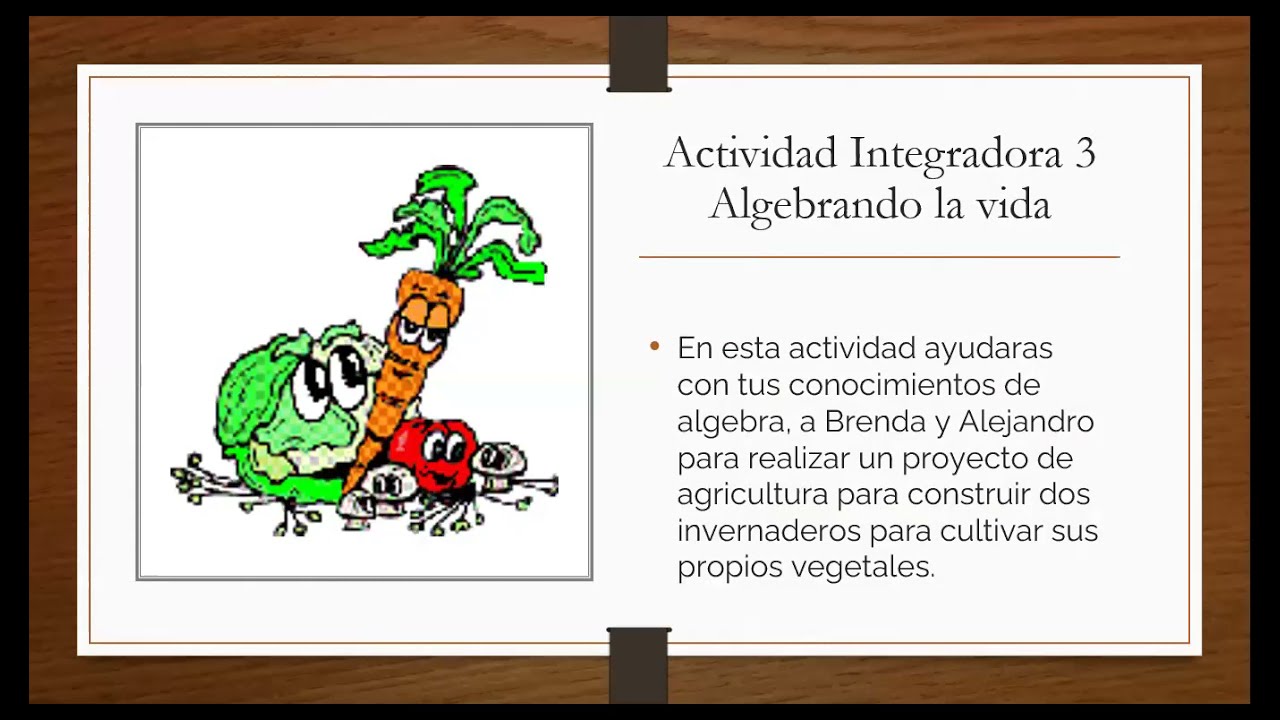 Módulo 11, Actividad 3 G24
