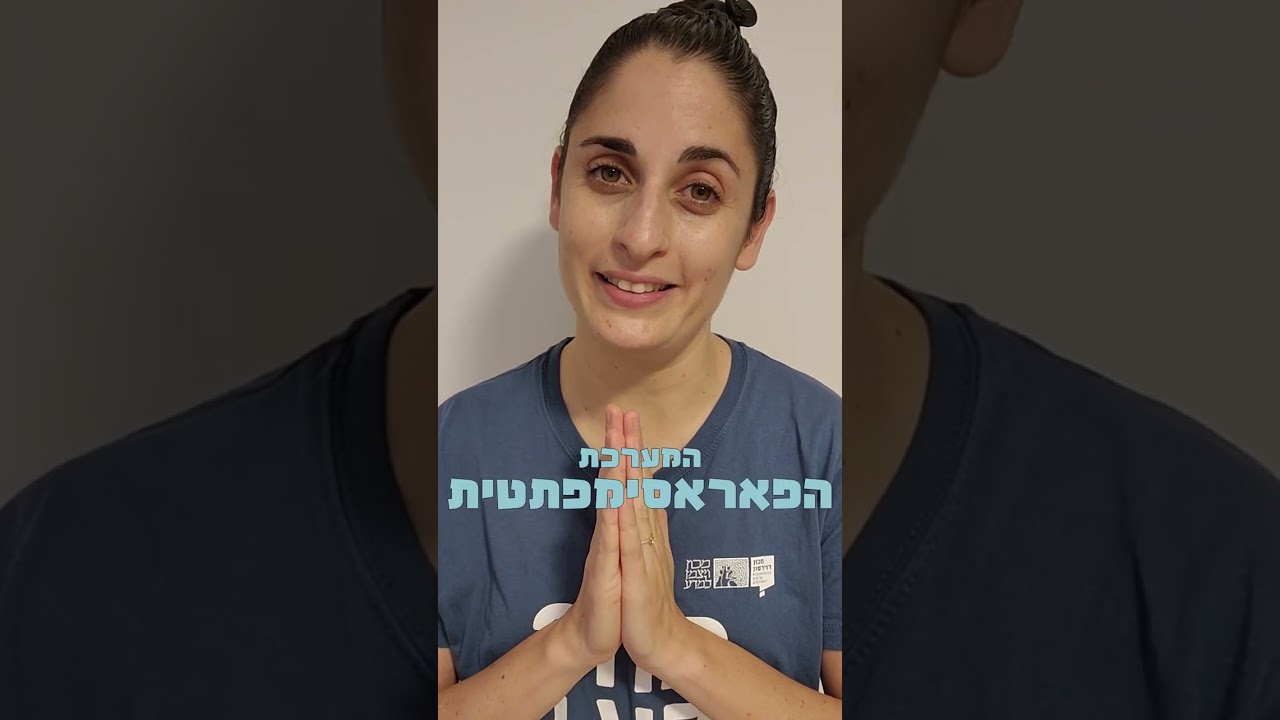 האם נשימה איטית עוזרת להירגע?