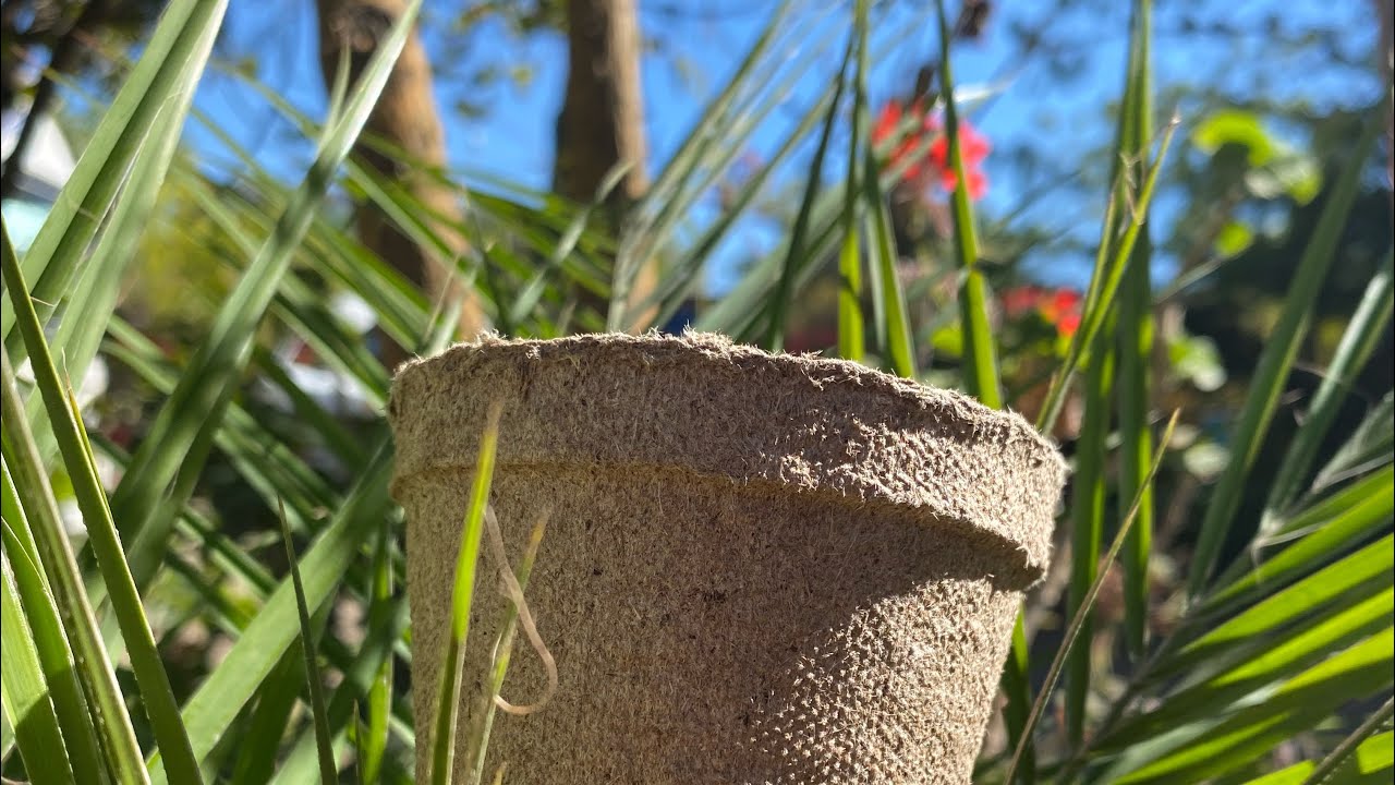 Refugio de &aacute;ngeles, urna biodegradable (Pitch)
