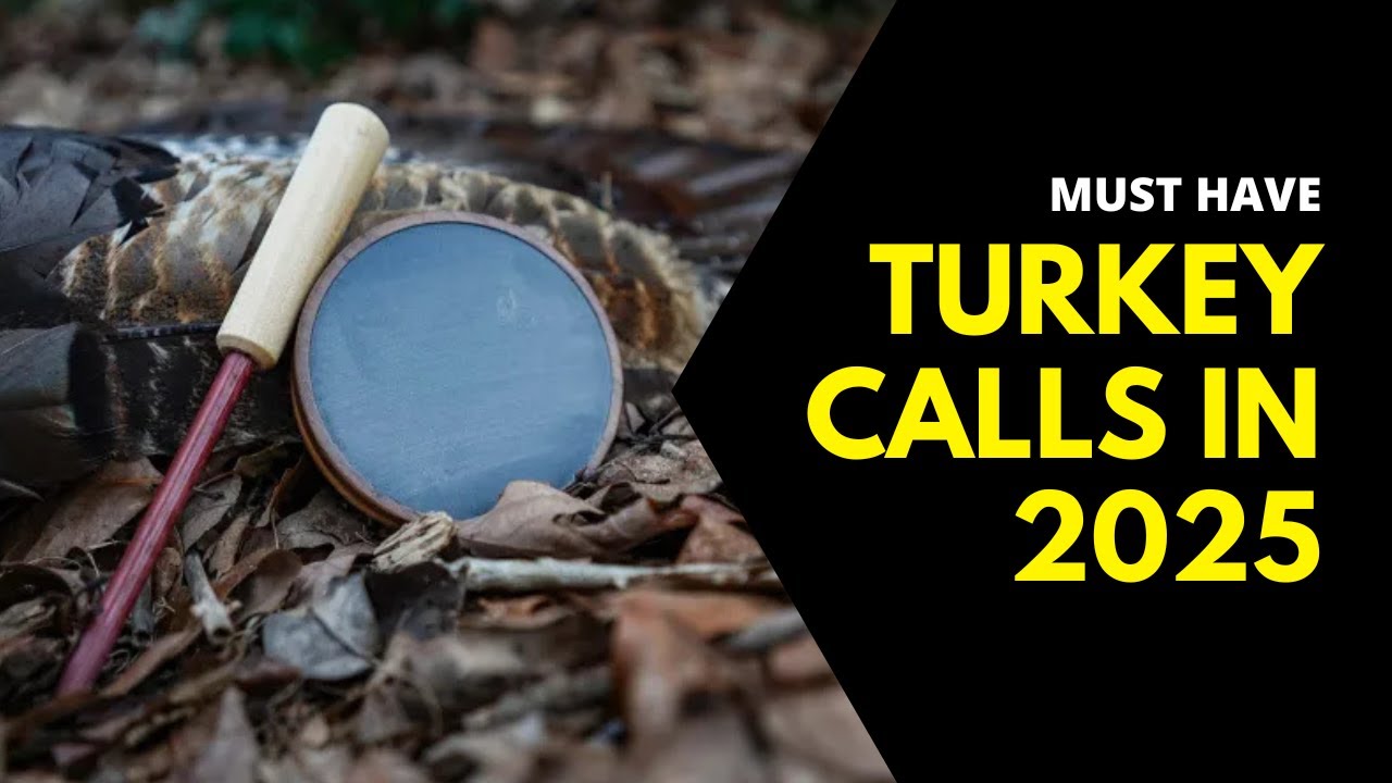 Best Turkey Calls of 2025 &ndash; The Ultimate Game Changers for Hunters!