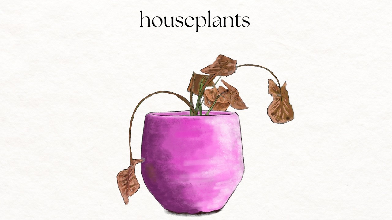 'Houseplants' (Official Lyric Video) - Ollie Hayes