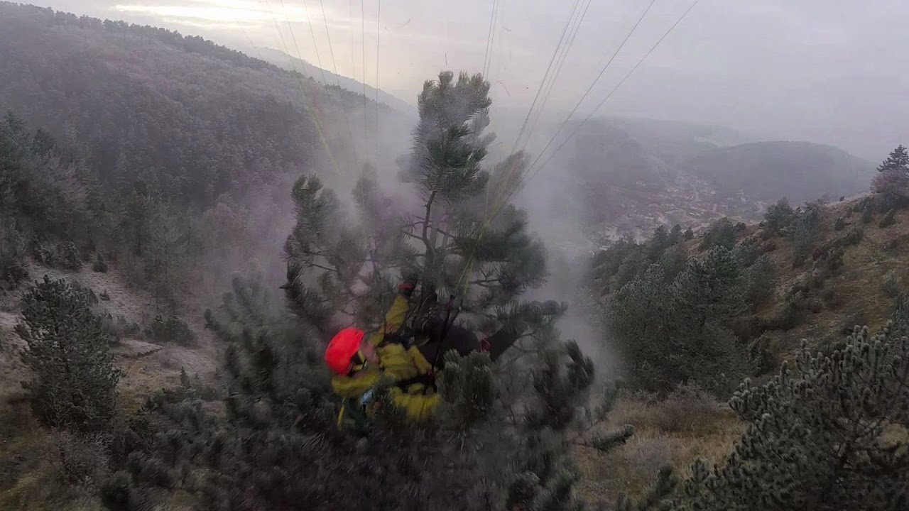 My first and hopefully last tree landing.