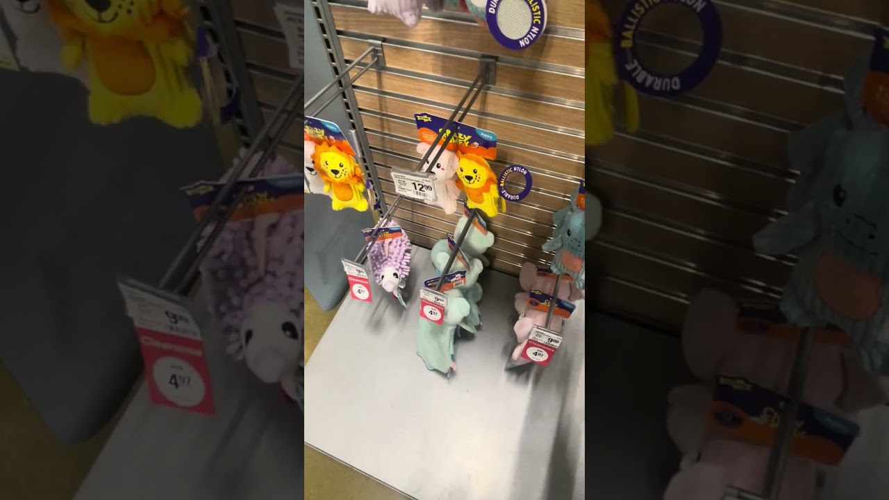 ￼Looking at some pets and some stuff for fun