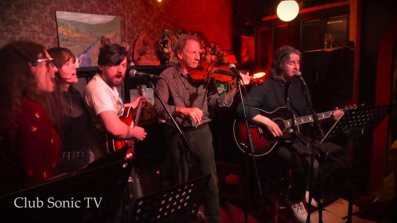 The Triffids And The Wonderful Songs Of David McComb