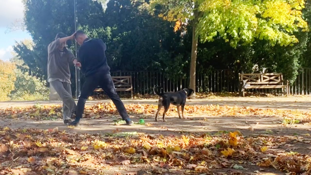 5 Tong Bei Shin Kicks - Rosa Mei