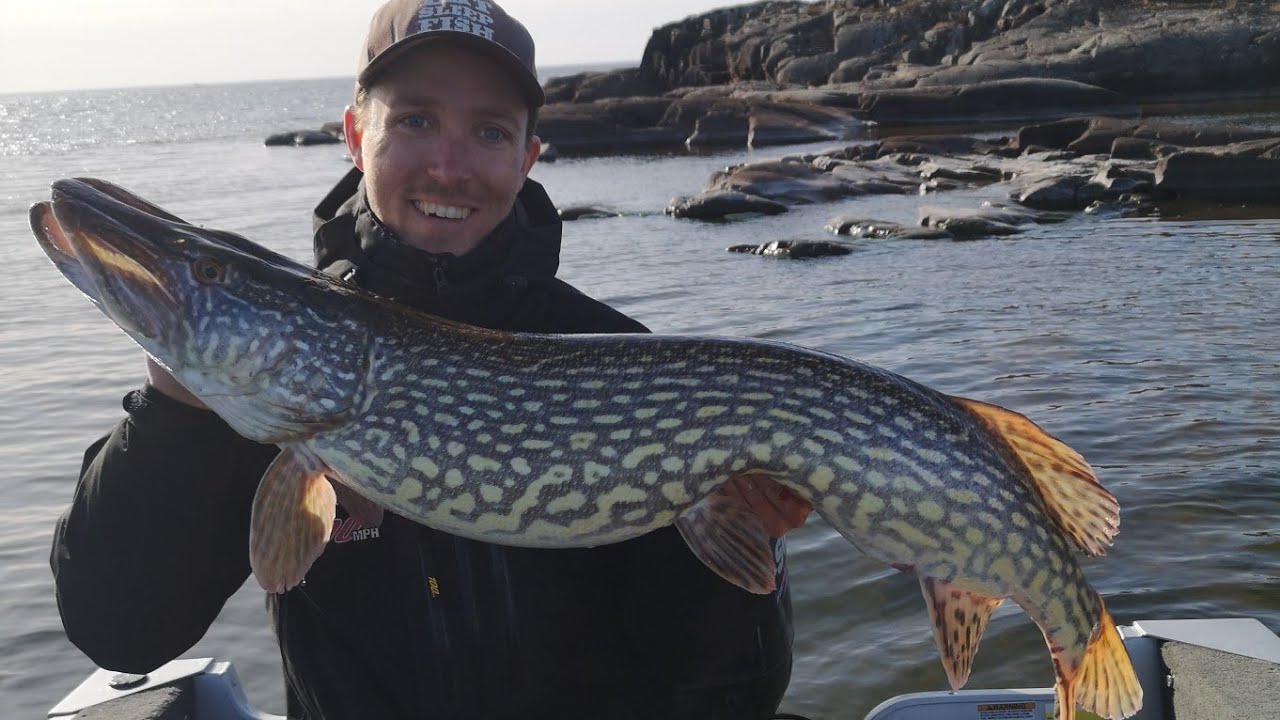 Gäddsatsning 10kg+