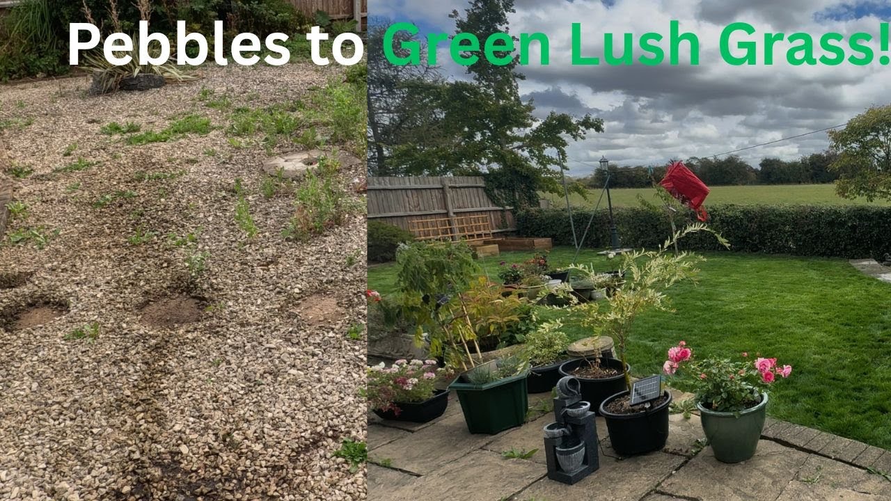 From Gravel to Green! Epic Garden Makeover 🌿✨| Pebble Yard to Turf Lawn | Full Backyard Makeover