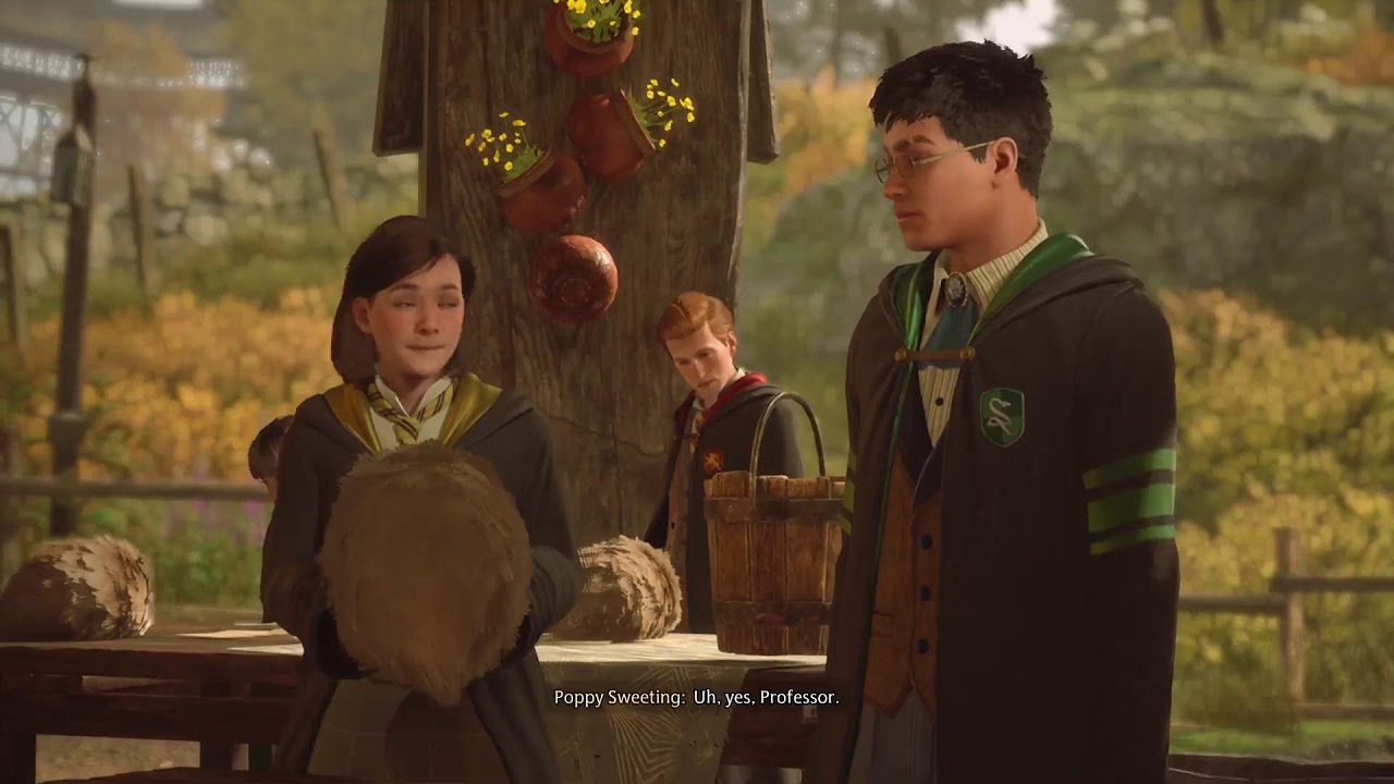Hogwarts Legacy PS5 Livestream