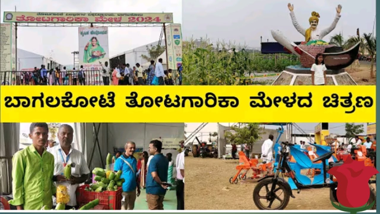 ತೋಟಗಾರಿಕಾ ಮೇಳ -2025 ಭಾಗ 4