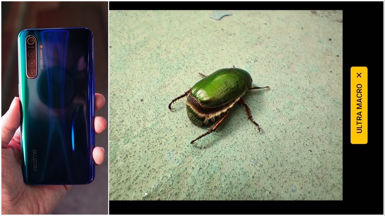 The Realme XT&rsquo;s Macro And 64-MP Lens In Real-World Action