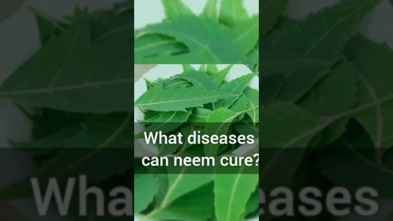 What does Neem cure?
