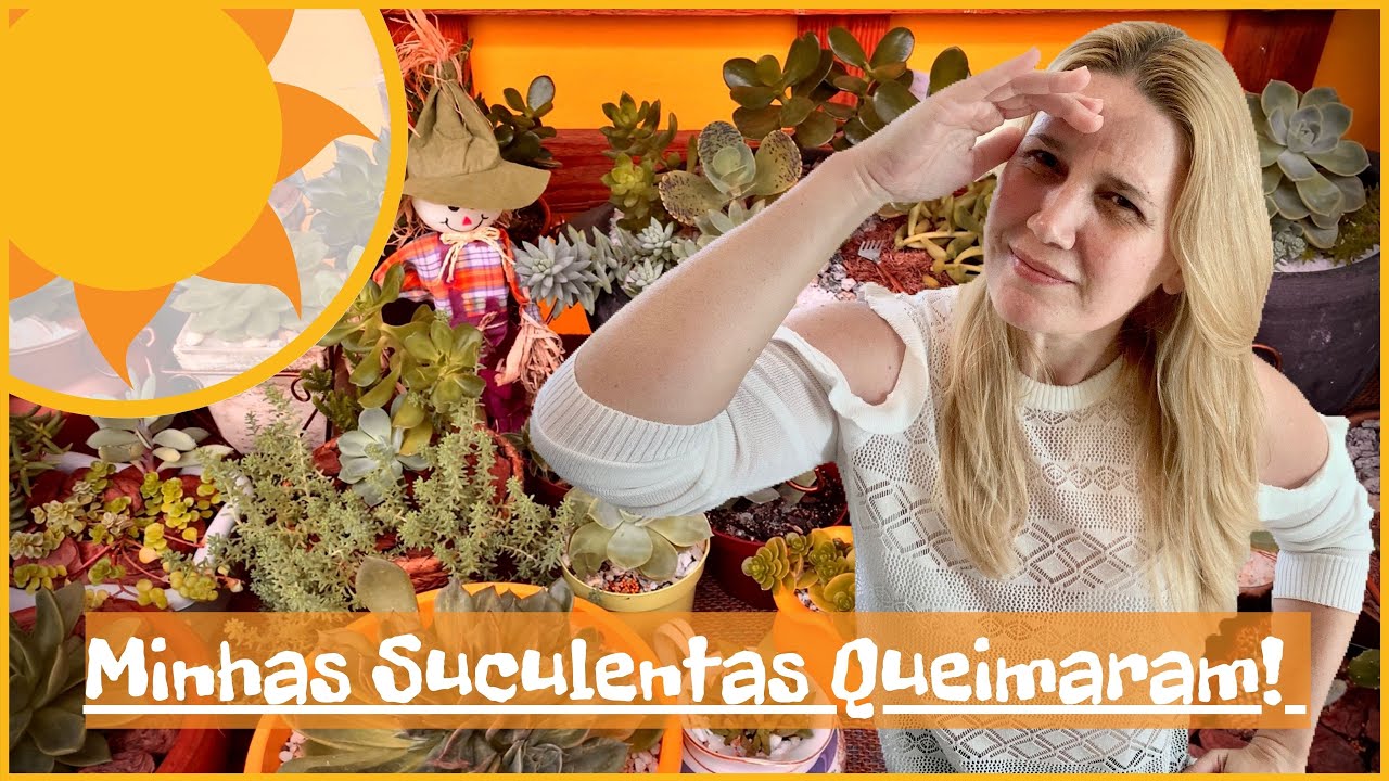 Minhas Suculentas Queimaram! | Nossa Vida é sem Frescuras!