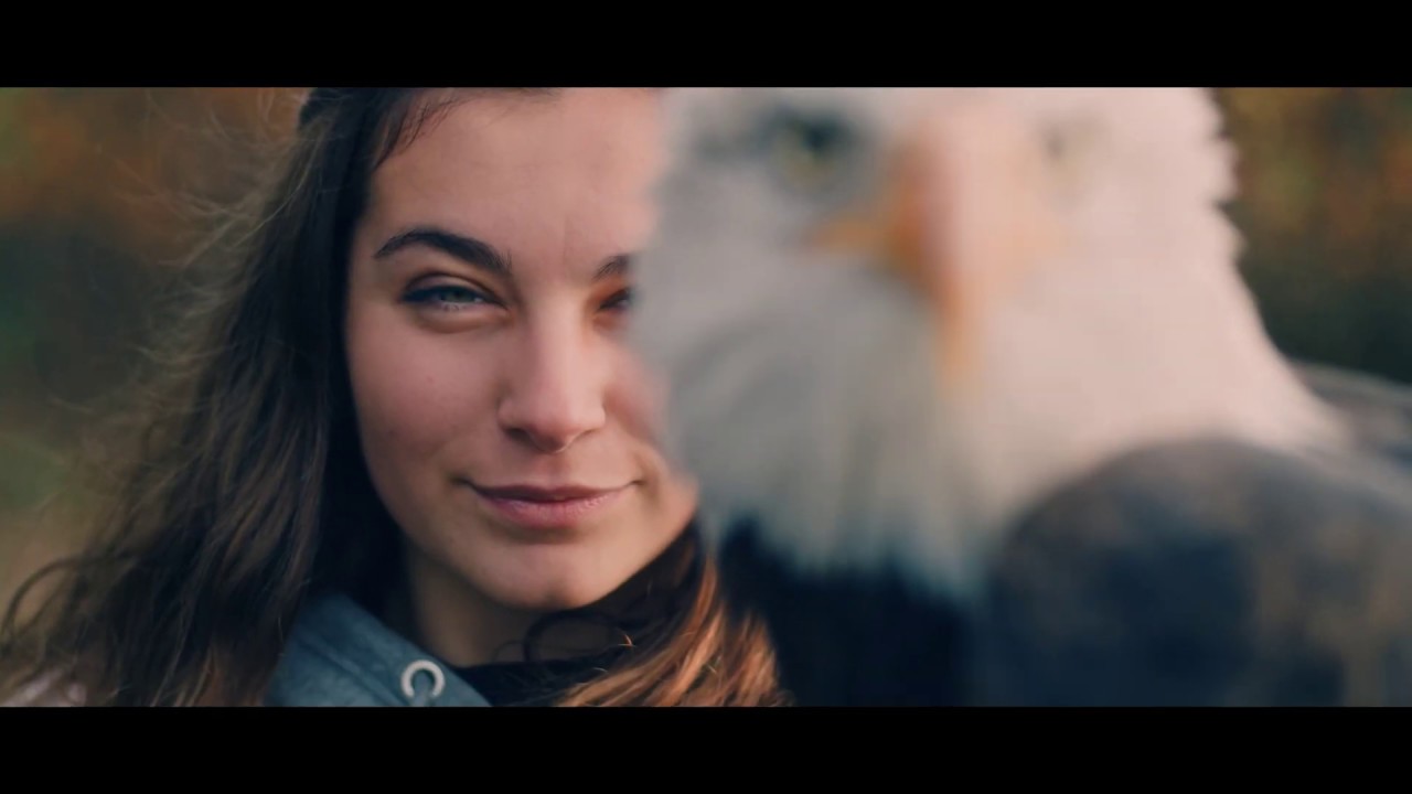 Fier Allier - Le d&eacute;partement