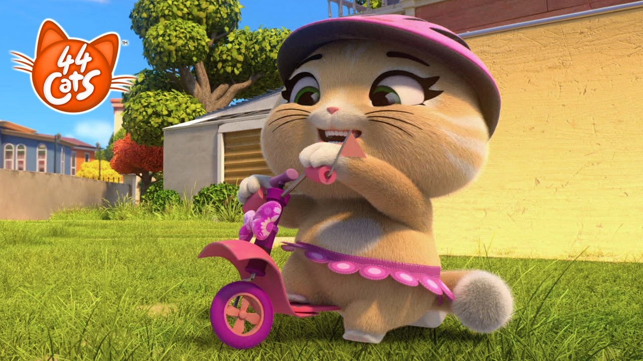 44 Cats | Pilou's scooter: a very special birthday gift