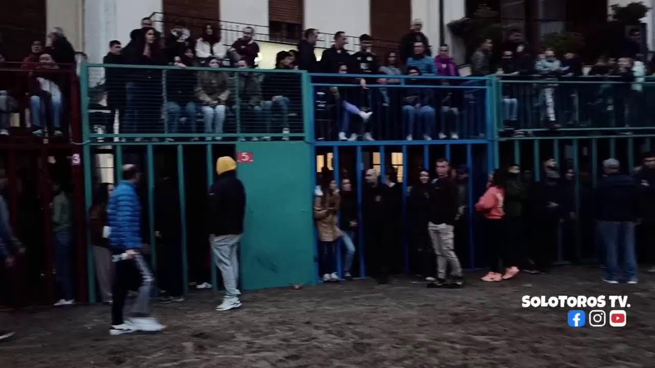 Transmisión en directo de Solo Toros tv.