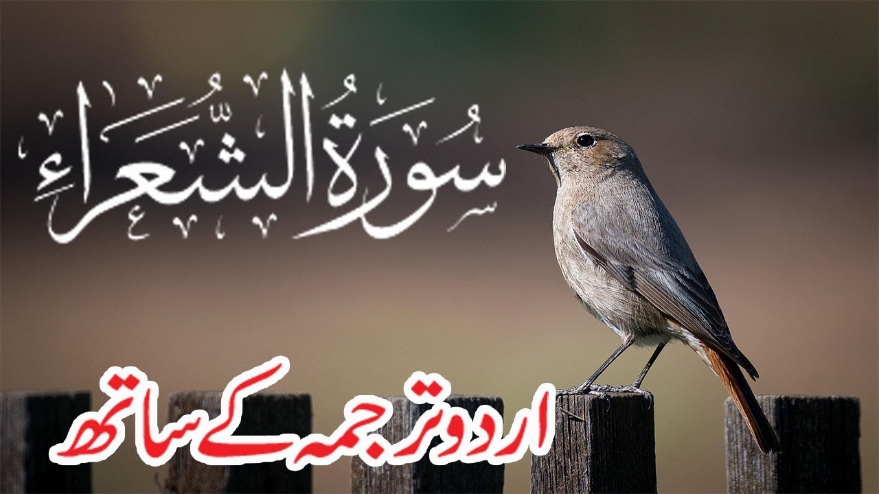 Surah Shuara Urdu Tarjuma K Sath | Surah Al Shuara With Urdu Translation |