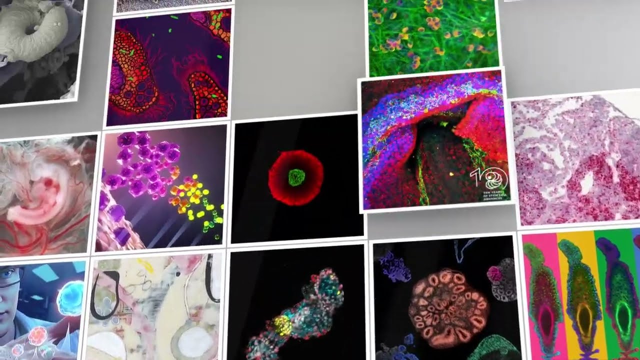 Stem Cell Reports | ISSCR's Society Journal