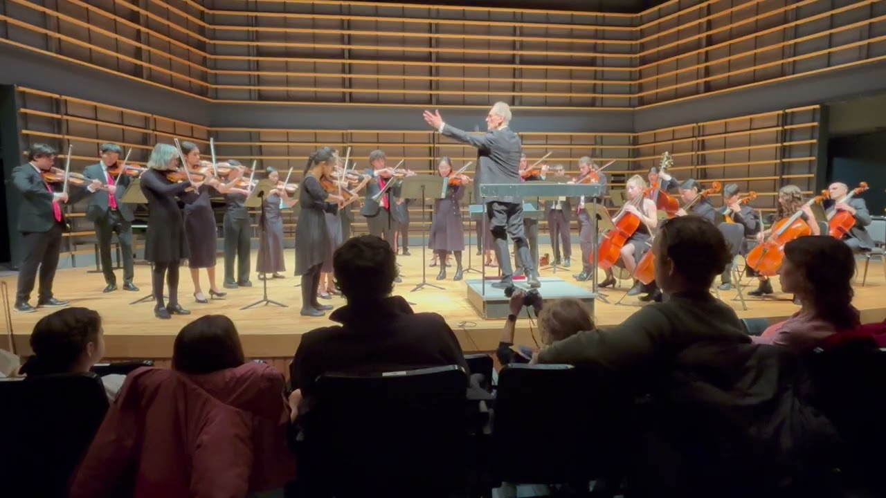 Beethoven symphony no. 5 fourth movement arranged for string orchestra by Sreten Krstic