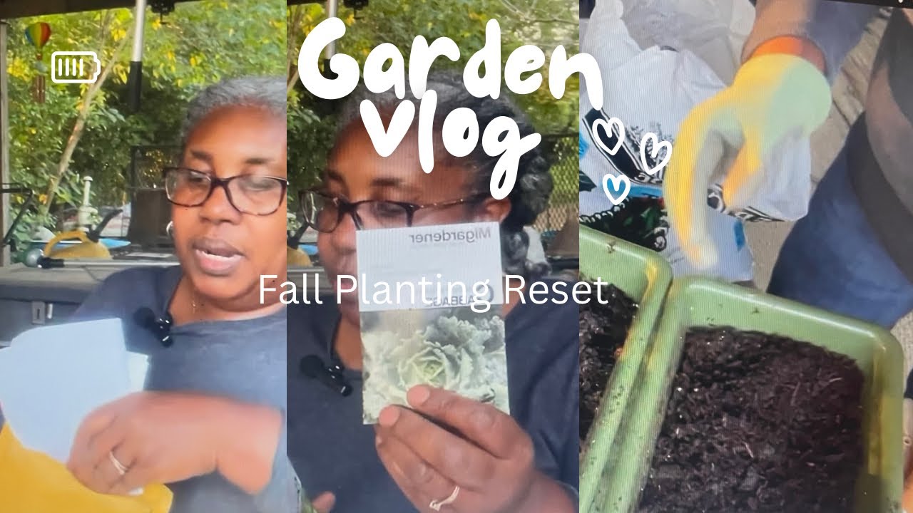 Low Germination Update 🌱 Reseeding & Starting New Ones + Seed Order  9/13/25