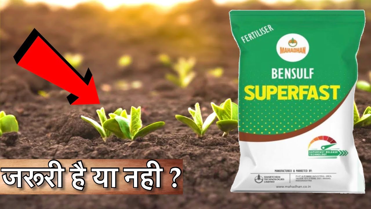 बेनसल्फ सुपरफास्ट इस्तेमाल के लिए पैसे खर्च करे या नही|Bensulf|Mahadhan sulphur
