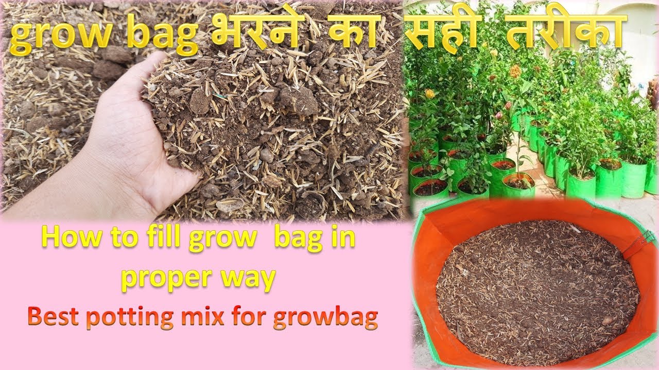 How to fill grow bag in right way,ग्रो बैग में मिट्टी भरने का सही तरीका,perfect soilmix for growbag
