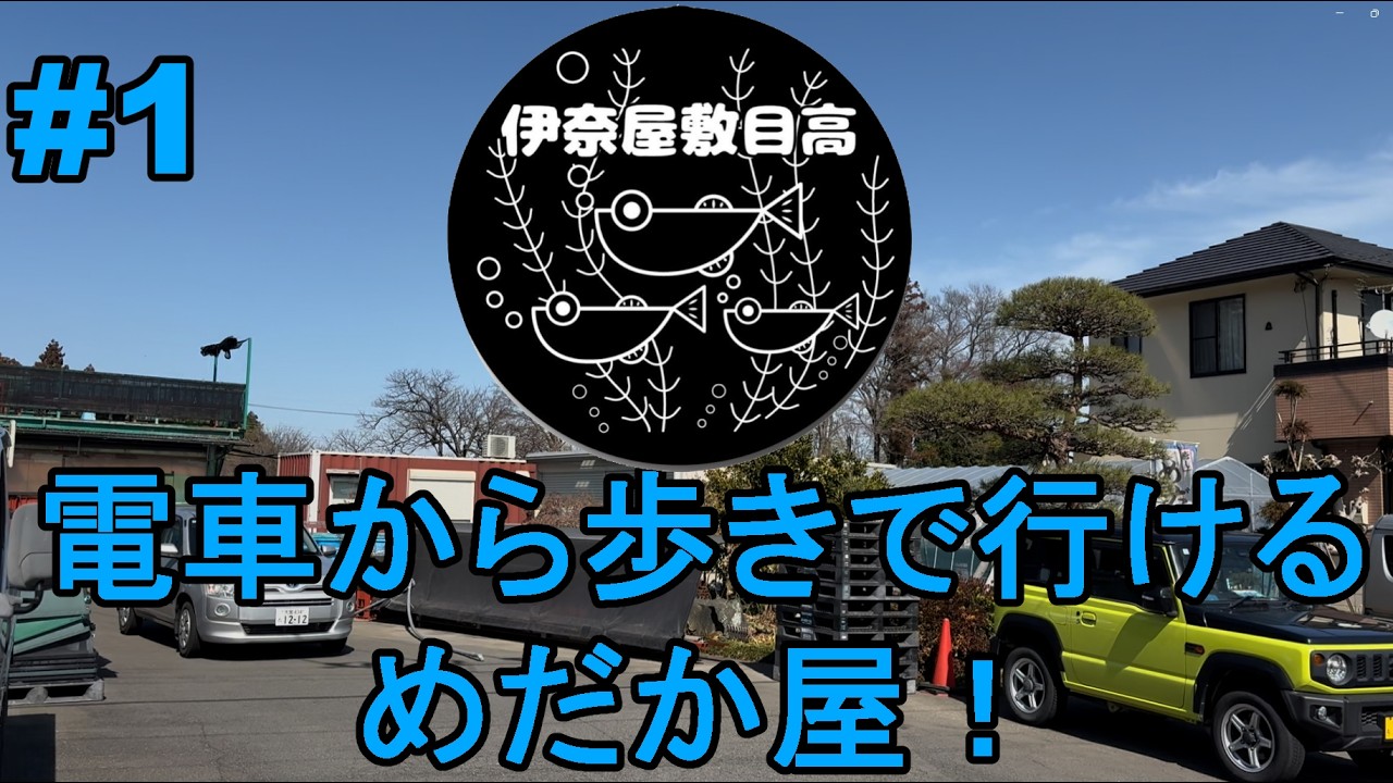【伊奈屋敷目高】最寄り駅と諸々紹介