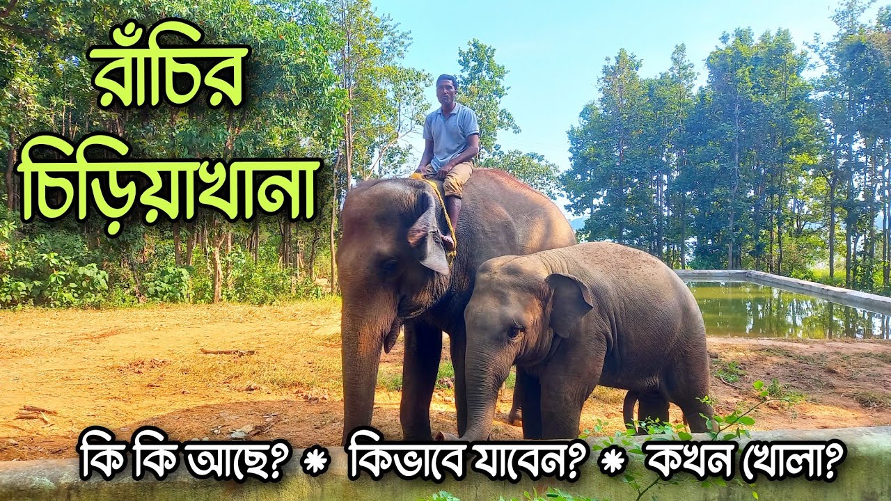রাঁচির চিড়িয়াখানা | Ranchi Zoo | Ranchi Tour | Bhagwan Birsa Biological Park | Ormanjhi Ranchi