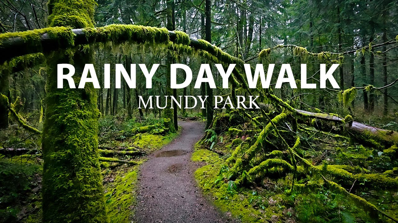 Relaxing Rainy Walk Through Mundy Park | Immersive Headphone Experience with Gentle Rain Sounds
