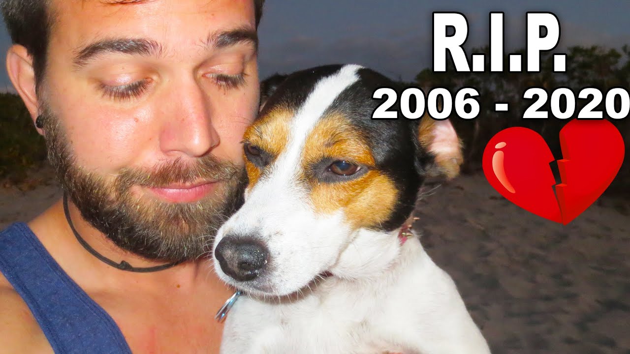 Rest In Peace, the weirdest dog ever! We will miss you! ❤️