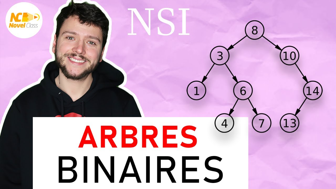 ARBRES BINAIRES - Terminale NSI