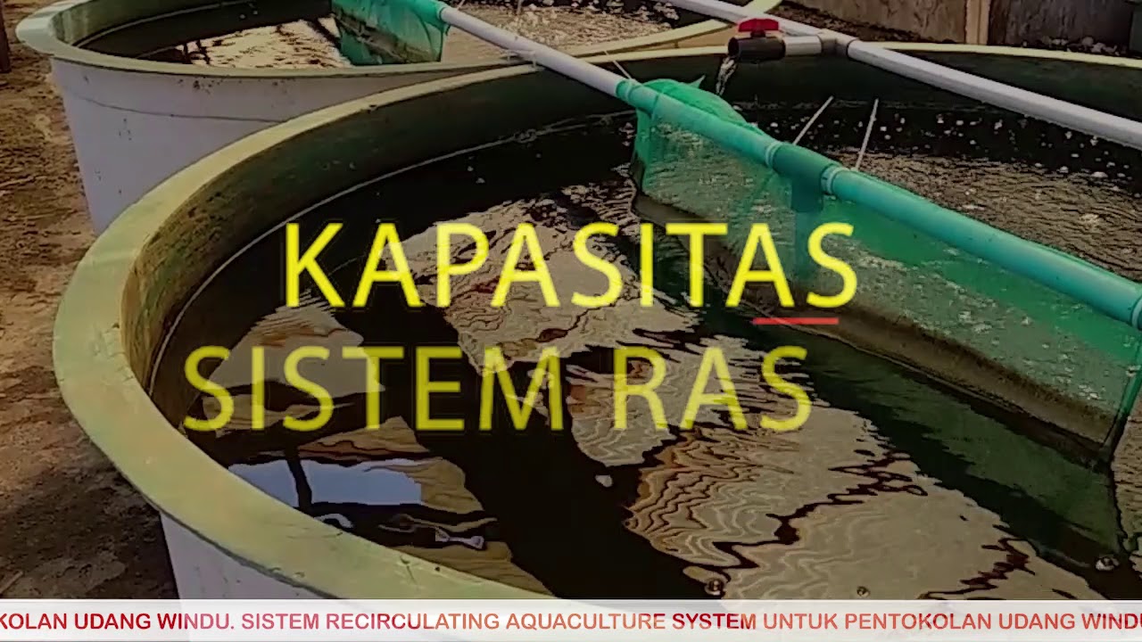 Sistem Recirculating Aquaculture System (RAS ) (Proyek Perubahan)