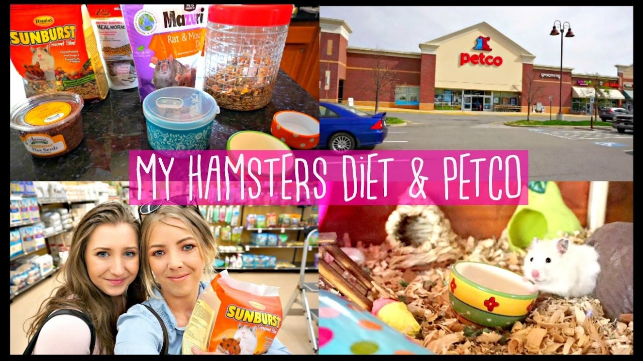 HAMSTER DIET | PETCO VLOG & MAKING A HAMSTER SALAD! 🥗