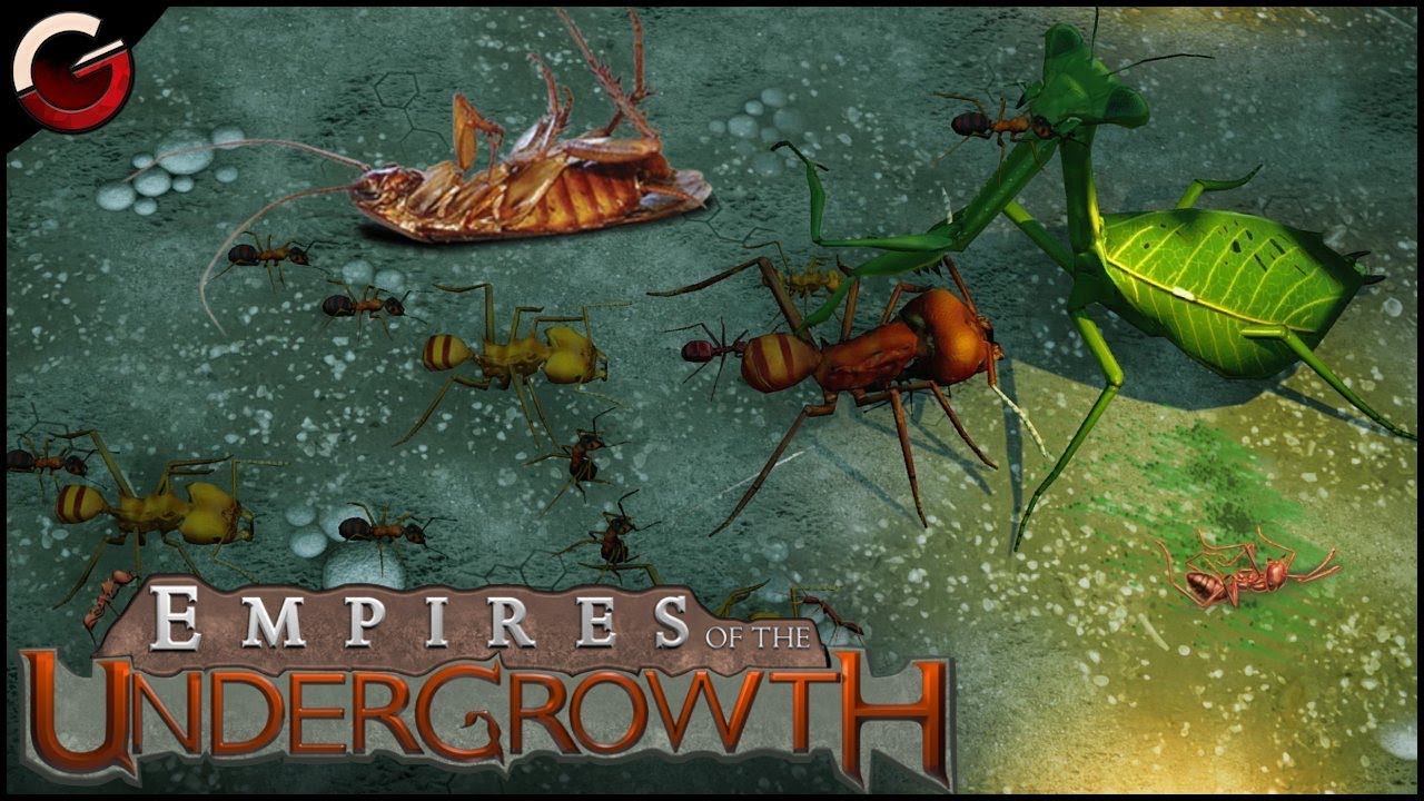 BUG FIGHTING BATTLE ARENA! Most Epic Insect Fight Scenes | Empires of the Undergrowth Gameplay