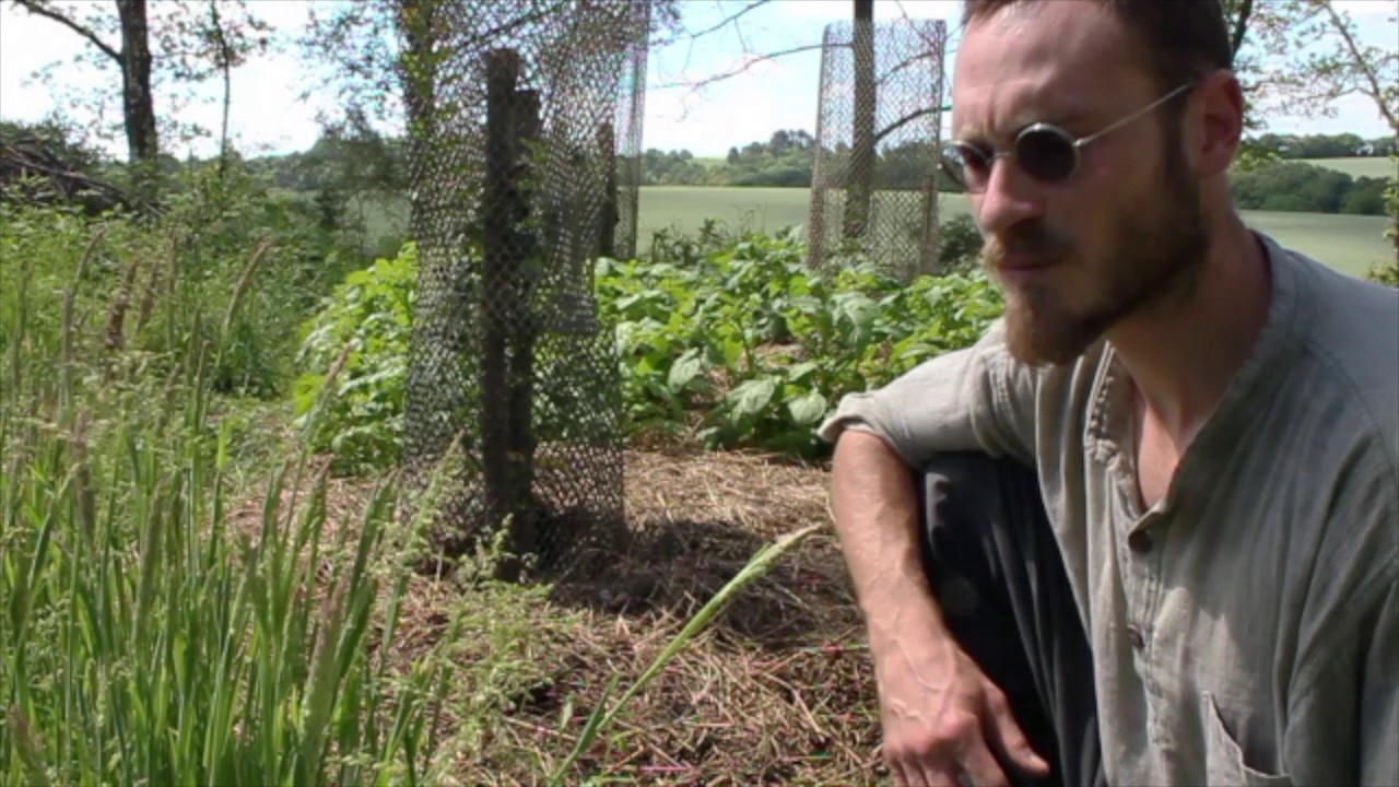 Comprendre le paillage pour la permaculture