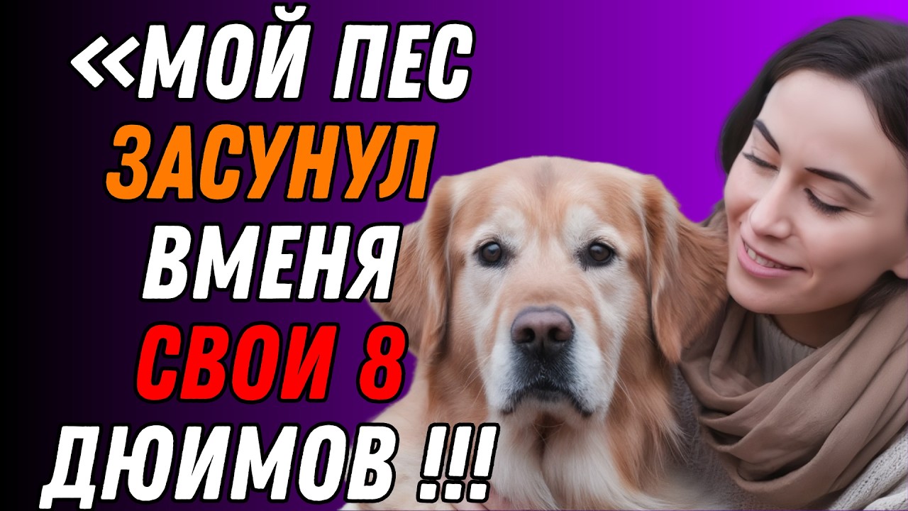 Пока мужа не было дома, я сделала ЭТО с нашей собакой  Правдивая история измены